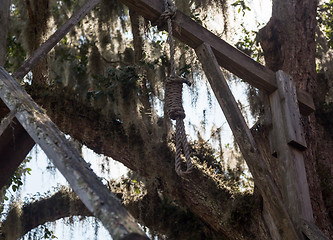 Image showing Old town gallows and noose in Florida