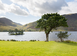 Image showing View over Crummock Water in Lake District