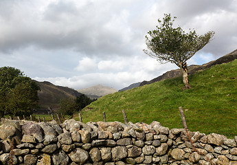 Image showing Old stone wall in Lake District