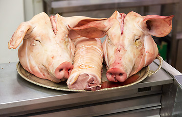 Image showing Two pigs heads on tray at butcher shop