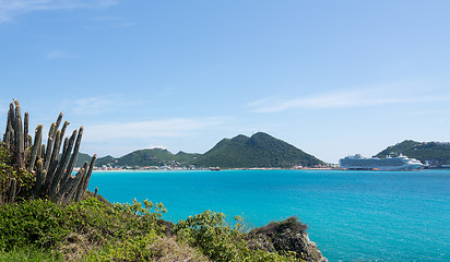 Image showing Pipe cactus frames view of Philipsburg