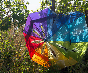 Image showing Broken beach umbrella torn by storm