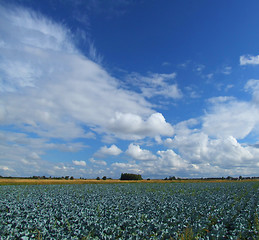 Image showing Beautiful clouds and blue sky