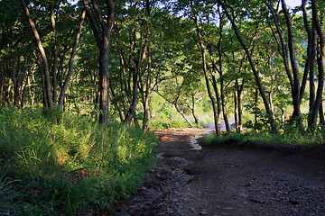 Image showing Road