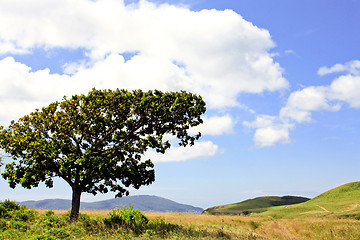 Image showing Road in the field