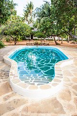 Image showing Swimming pool in African Garden