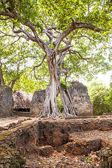 Image showing Gede Ruins