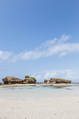 Image showing Malindi Beach