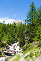 Image showing Bridge on mountain river