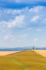 Image showing Country in Tuscany