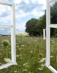 Image showing opened window to the summer field