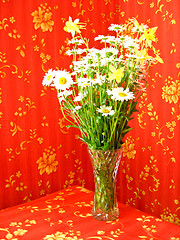 Image showing beautiful bouquet with white camomiles