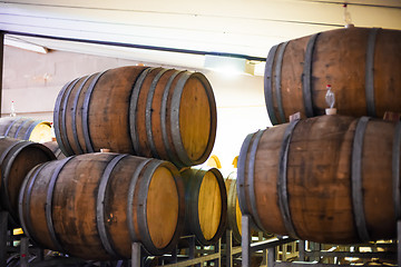 Image showing Barrels of South African wine