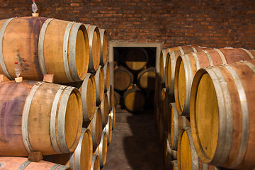 Image showing Wine barrels in rows