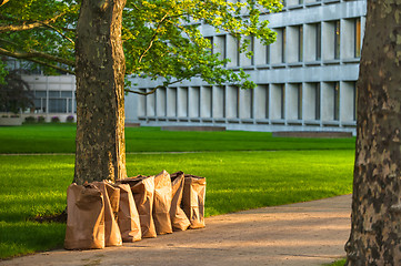 Image showing Recycling yard waste paper bags