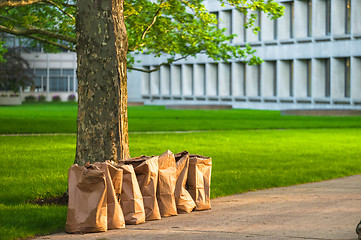 Image showing Recycling yard waste paper bags