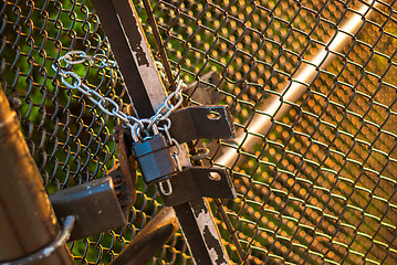 Image showing Padlock on wire fence