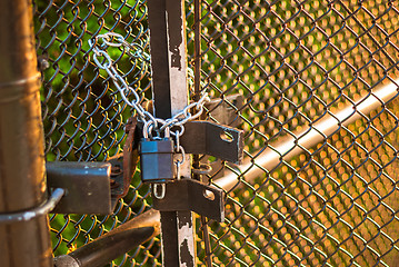 Image showing Padlock on wire fence