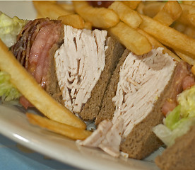 Image showing turkey club sandwich with fries