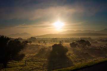 Image showing Fields at dawn