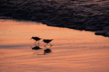 Image showing Beach runners in Antigua