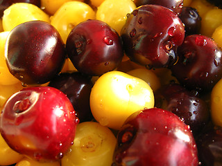 Image showing Berries of a sweet cherry under jet of water