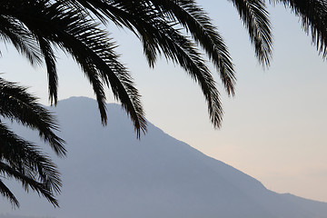 Image showing Palm leafs and sea in the evening, sunset