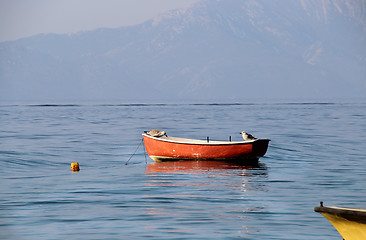 Image showing Funny Seagulls sitting on the boat 