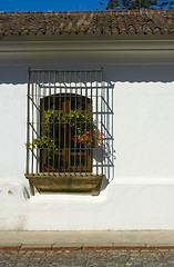 Image showing WINDOW WITH WROUGHT IRON SCREEN