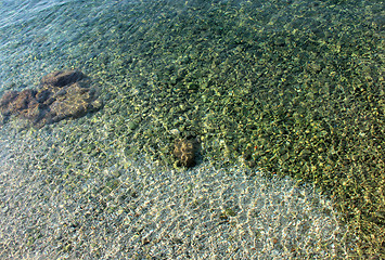 Image showing Adriatic sea water