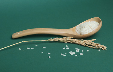 Image showing Rice baldo in wooden spoon