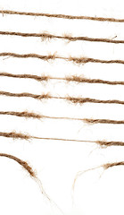 Image showing Torn rope