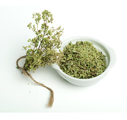 Image showing Dried oregano in a bowl and oragano twigs