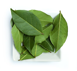 Image showing Bay leaf spice