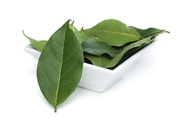 Image showing Bay leaf spice