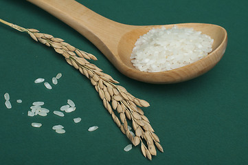 Image showing Rice baldo in wooden spoon