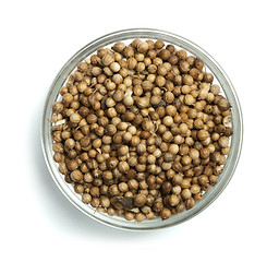 Image showing Dried coriander in a bowl