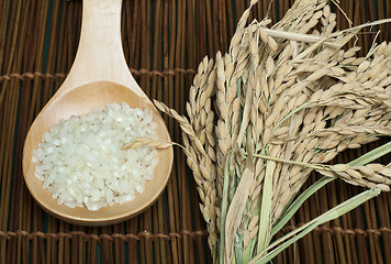 Image showing Rice baldo in wooden spoon