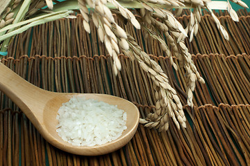 Image showing Rice baldo in wooden spoon