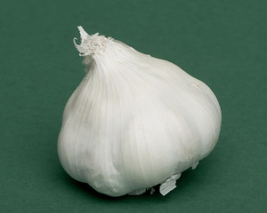 Image showing Whole head of garlic 