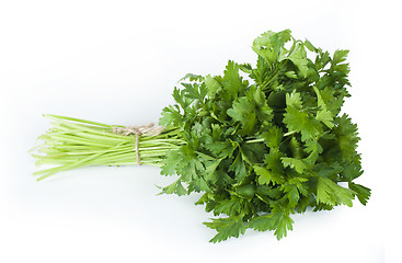Image showing Fresh bunch of green parsley