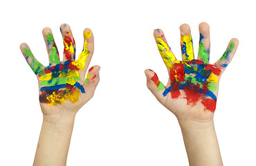 Image showing Boy hands painted with colorful paint