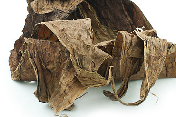 Image showing Dried tobacco leaves