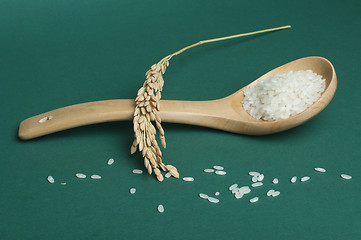 Image showing Rice baldo in wooden spoon