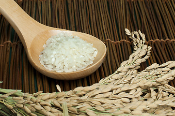 Image showing Rice baldo in wooden spoon