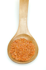 Image showing Lentil split in wooden spoon