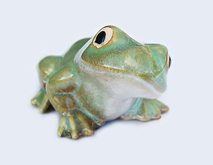 Image showing Frog