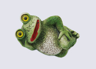 Image showing Frog