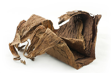 Image showing Dried tobacco leaves