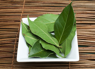 Image showing Bay leaf spice